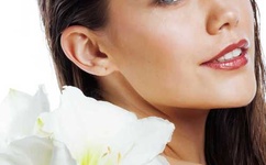 男同志与动人物zozotv